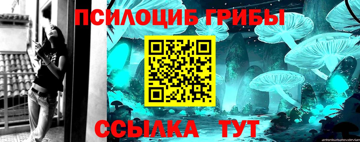 Псилоцибиновые грибы MAGIC MUSHROOMS  Вход с VPN  Долгопрудный  Галлюциногенные грибы мухоморы 