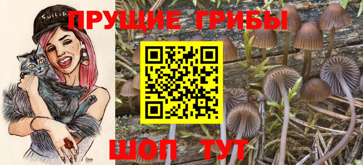 Галлюциногенные грибы мицелий Долгопрудный
